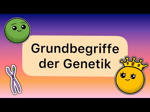 Grundbegriffe der Genetik