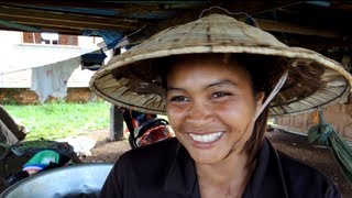 Quality investments from Lao PDR: organic contract farming in Patxong province