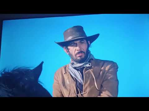  Help me .. Catlow western movie.. 