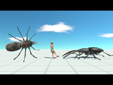 SPIDER & BEETLE vs EVERY UNIT - Animal Revolt Battle SImulator