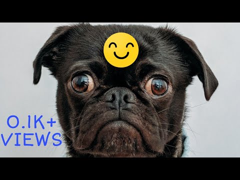 Funny video 😄 : Big eyes 👀 !