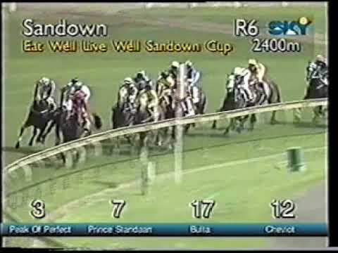 Cheviot 1996 SA Derby & 1998 Sandown Cup