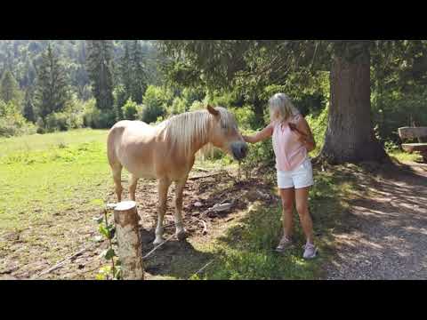 Schmugglerweg, Kössen, Klobenstein  4K