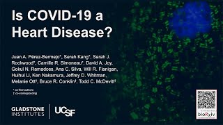 Is COVID-19 a Heart Disease?