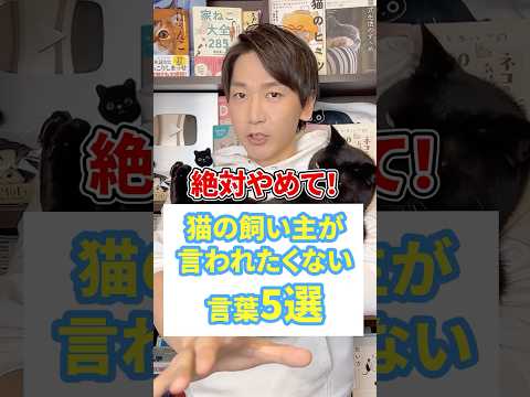 絶対やめて！猫の飼い主が言われたくない言葉５選 #猫 #猫のいる暮らし #ねこ