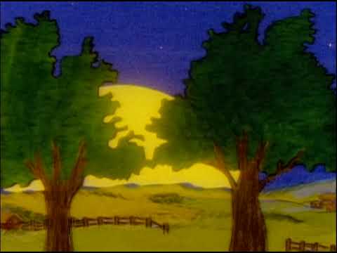 Video thumbnail for Tree Shadows