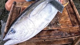 Download lagu Fresh Tuna Prito Sabaw Kilaw! 😱 mp3 Download lagu Fresh Tuna Prito Sabaw Kilaw! 😱 mp3