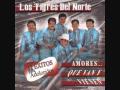 Amores Que Van y Vienen - los tigres del norte
