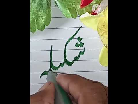 Shakeela Name Whatsapp Status | Shakeela Name Status #shortsfeed #youtubeshorts #shorts