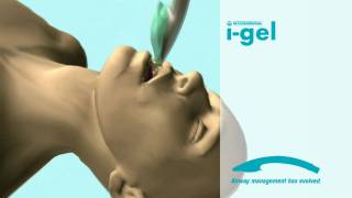 Ознакомительное видео