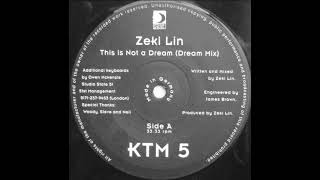 Zeki Lin - This Is Not A Dream  (1996)