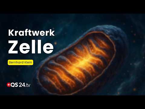 Vorschau Video: Mehr Energie für Zellen