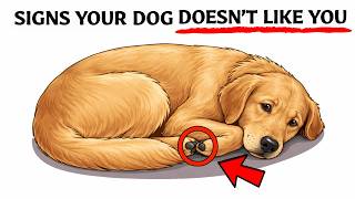 14 Daily Signs Your Dog Doesn't Love You