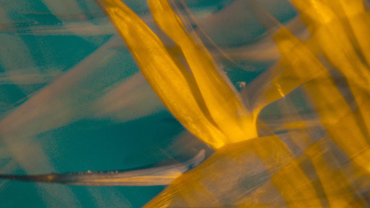 Ben BÃ¶hmer - Hiding (feat. Lykke Li) (Official Visualiser) - YouTube