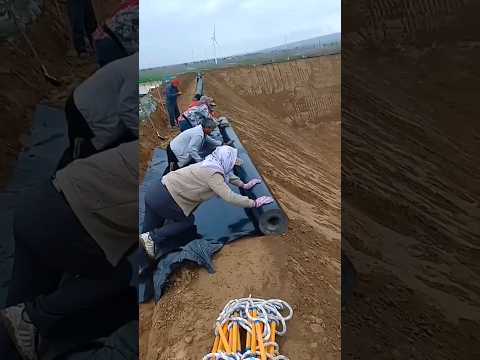 Installing Irrigation Tank Water Fertilizer 2 in 1 system For Sugarcane Farm #farming #agriculture