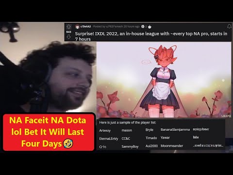 Does Arteezy Struggle In NA?🤔| Gorgc Getting A Pet🦁| Gorgc Cat Story🐱