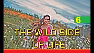 THE WILD SIDE OF LIFE - 6