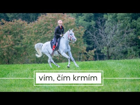 Trailer k filmu 100 MIL V SEDLE