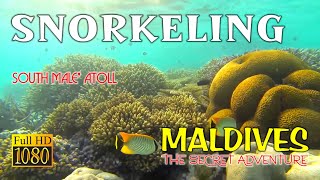 Snorkeling in South Male Atoll, Maldives - Relaxing Music With Beautiful Underwater Colorfull Videos