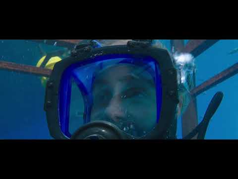 47 METERS DOWN - Extrait 1 - L'Appareil photo VOST