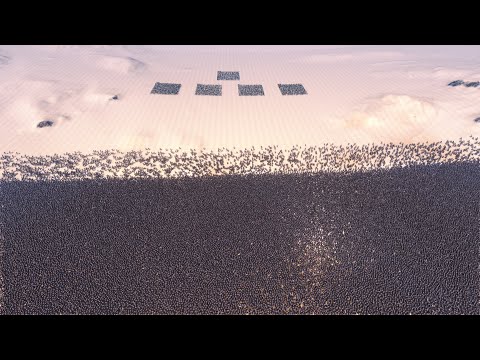 2,500 ELVIN HUNTRESS Vs 100,000 ORCS ULTIMATE EPIC BATTLE SIMULATOR UEBS