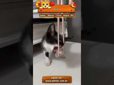 Vídeo de Guri 