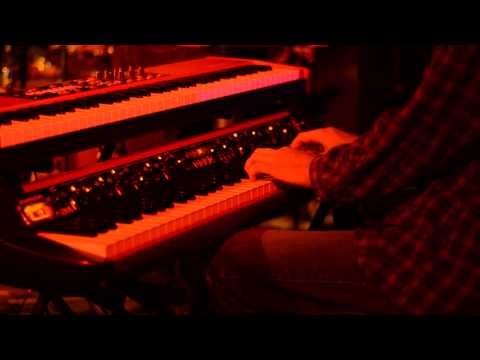 The Jauntee - Devil's Haircut Jam - 8/13/2013