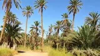 preview picture of video 'Un tour dans l'oisis de NEFTA(Tunisia)'