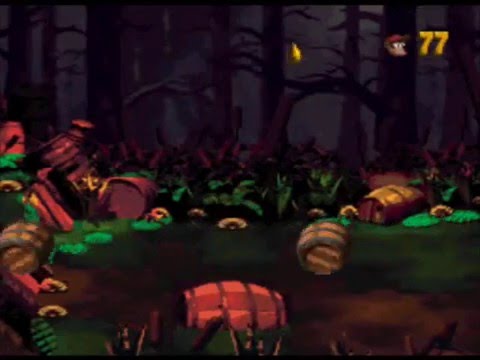 Donkey Kong Country 2 : Diddy's Kong Quest Wii U