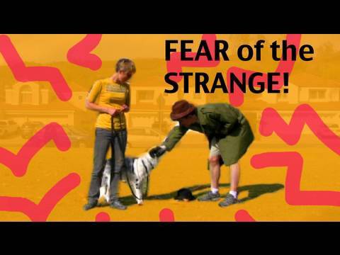 STOP UNWANTED behaviors with BACK UP