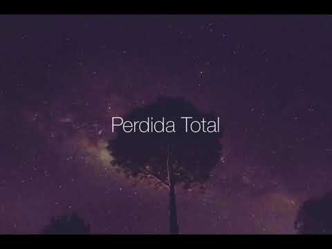León Larregui- Perdida Total ( Letra )