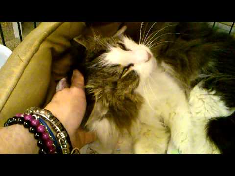 Noreen really just needs love and understanding