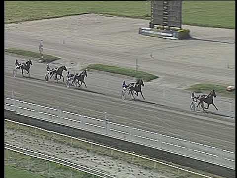 Trotto 29/04/2018 - prova di qualifica