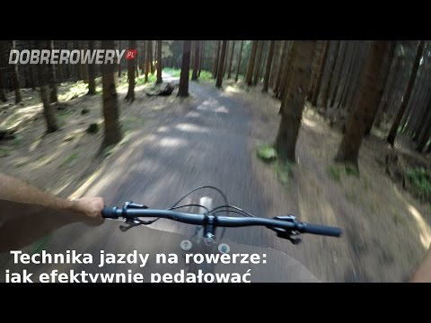 Olej rybny kulturystyka Zasada kulturystyka szkolenia