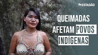 Miniatura do vídeo
