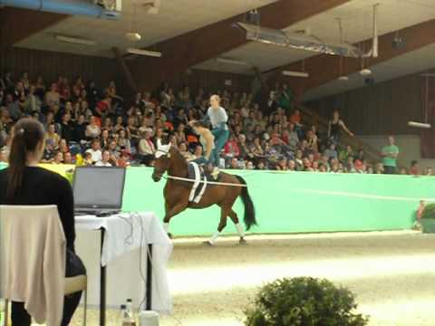 Gruppenkür - CVI Krumke - .AVI