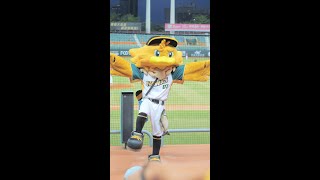 [分享] 昨日雞柳條