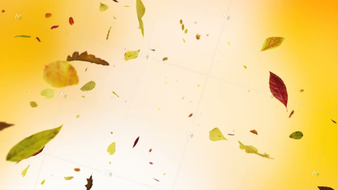 Falling Autumn Leaves Background Seamless Loop