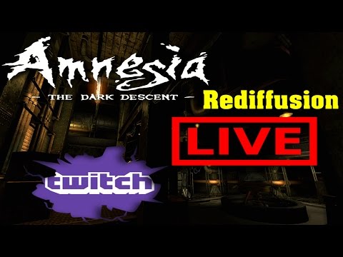 Rediffusion du Live Twitch sur Amnesia (Custom Story) - [06/11/14] [FR PC]