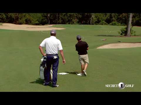 Brian Harman: 85 Yard Pitch