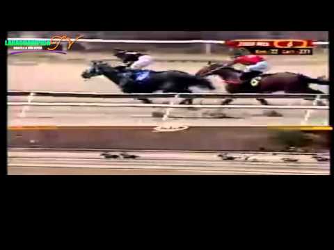 LA RINCONADA 6 CARRERA DOMINGO 23 DE MARZO DEL 2014 CLASICO JOSE MARIA VARGAS