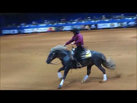 CAMPEÃO NACIONAL 2017 ,F5 LICURGO TAPAJÓS