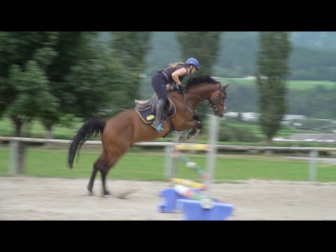 Das Glück der Erde liegt auf dem Rücken der Pferde