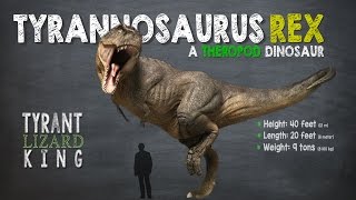 Tyrannosaurus Rex Facts! A Dinosaur Facts video about Tyrannosaurs Rex, also called T-Rex.