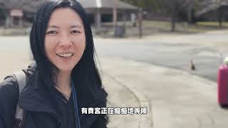 2024春節日本旅行-廣島大久野島