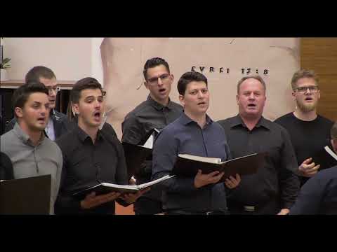 Auzi cum sună de departe | Corul bărbătesc Elim-Viena