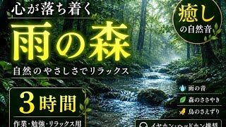 【自然音】雨の森で心を整える｜癒し・リラックス用BGM（3時間）