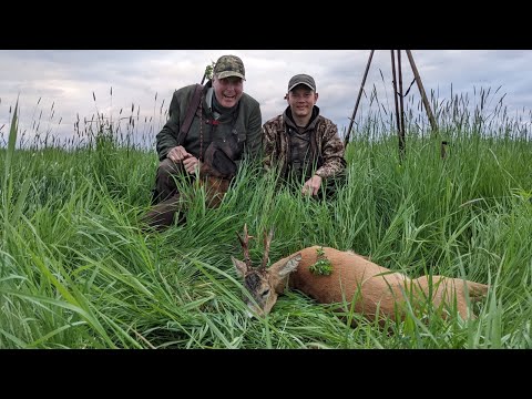 Zwei Böcke auf der Pirsch erlegt