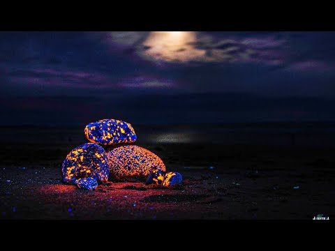 Yooperlites Adventures