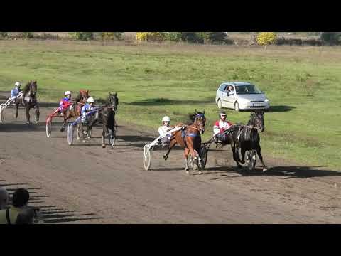 Trka "Lucia" 20.10.2021 Tekila - Miodrag Pantić